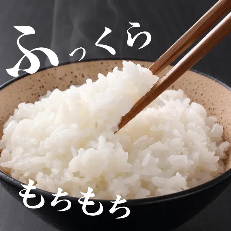 【令和8年産】 新米 米 定期便 あいさい米5kg×3回定期便 計15kg  ご飯 小松島市
