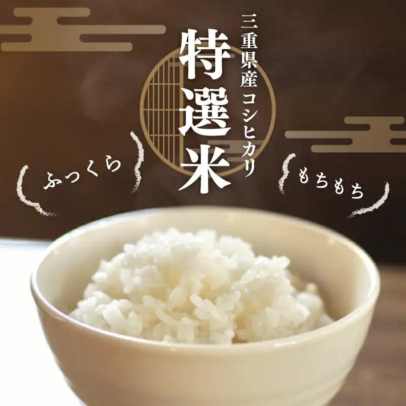 令和7年産 特選米 コシヒカリ 5kg お米 MK13