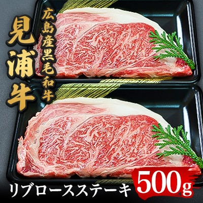 
広島産黒毛和牛　「見浦牛」のリブロースステーキ(500g)【1003803】
