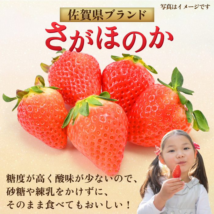 【1月中旬〜3月中旬発送】みずみずしい果肉！さがほのかレギュラーパック4P 240g×4 いちご イチゴ 苺 フルーツ 果物 佐賀 吉野ヶ里町/リエンサーク [FCC001]