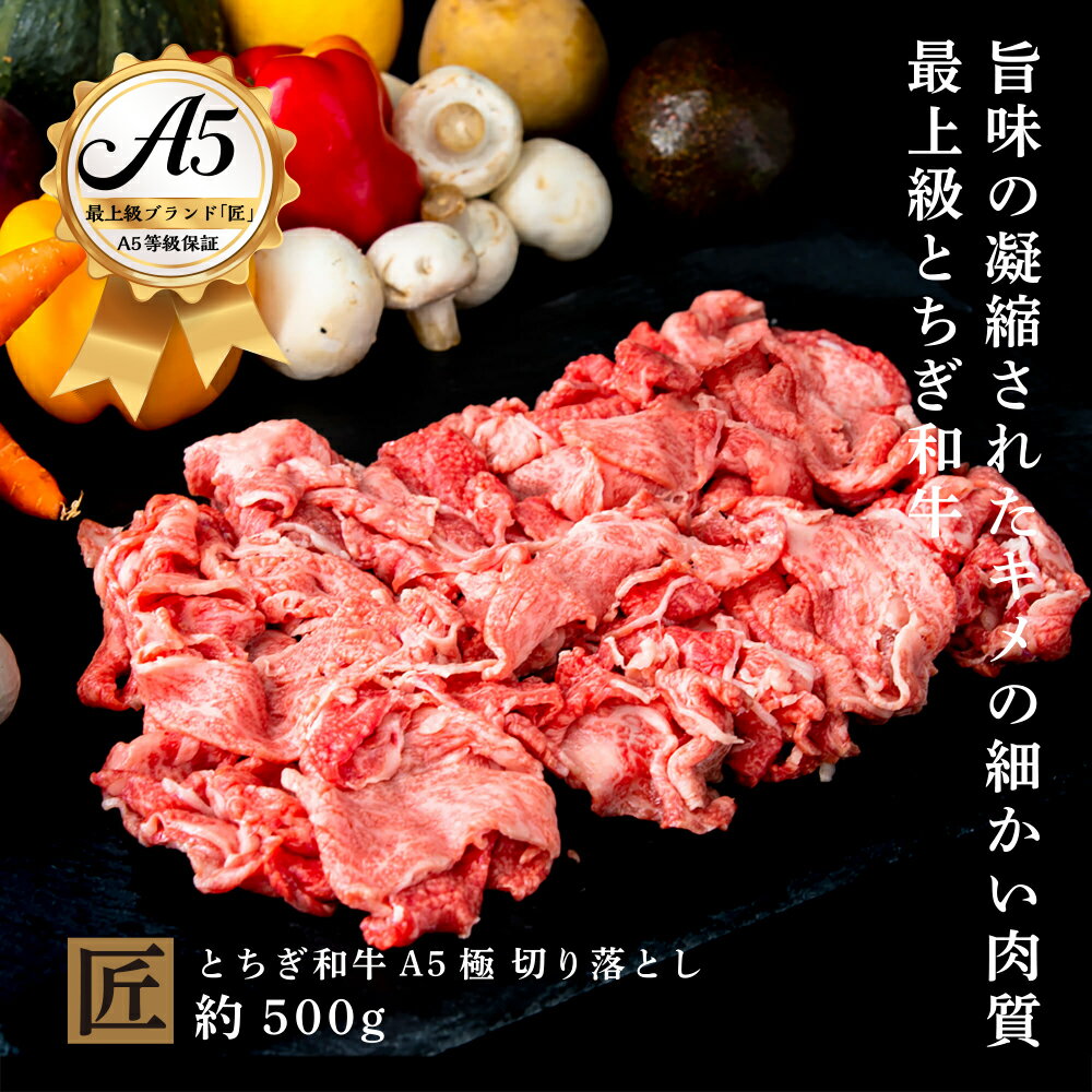 【ふるさと納税】とちぎ和牛 A5 切り落とし 約 500g ｜ 国産 和牛 牛 肉 生産者 認定 銘柄 A5 旨味 うまみ きめ細かい 品質 柔らかく 芸術品 特産品 栃木県 真岡市 送料無料 栃木県共通返礼品