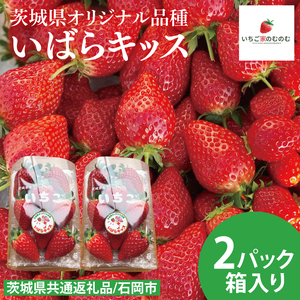 【数量限定】【離島配送不可】いばらキッス 2パック/箱【茨城県共通返礼品/石岡市】【いちご イチゴ 苺 果物 くだもの  フルーツ 茨城県オリジナル品種 茨城県】（LX-1）