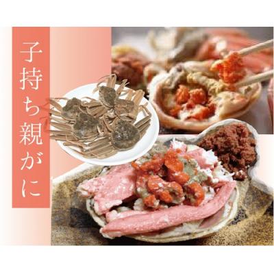 ふるさと納税 鳥取市 特選とっとりセコガ二 (親ガニ)10枚セット【山根商店】