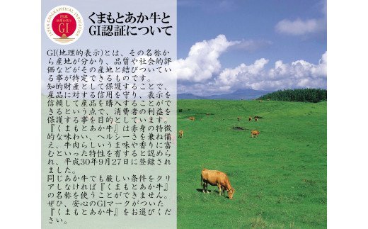 熊本県産 GI認証取得 くまもとあか牛 焼き肉用切り落とし 合計600g