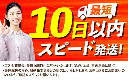 トイレットペーパー 100mシングル（ホワイト）12ロール×2パック入 / トイレットティシュー 日用品 紙 / 佐賀県 [41AHAA005]