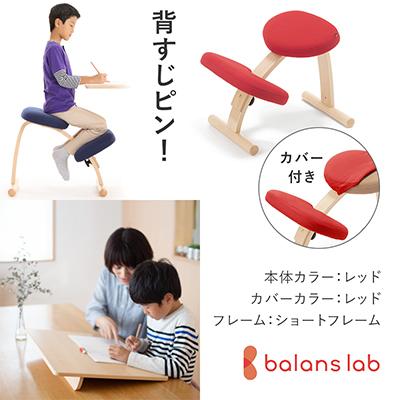 ふるさと納税 美濃市 バランスイージー ショート[レッド]カバー付+イージーライティングボードM【複数個口で配送】