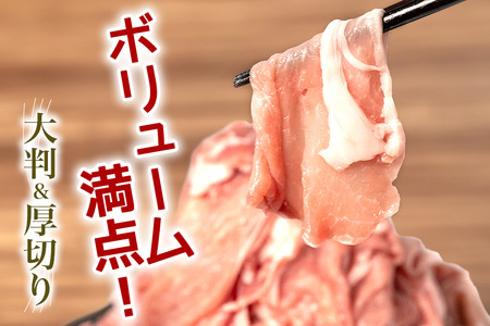 豚肉 切り落とし 2kgセット 小分け 500g×4 訳あり 67-1
