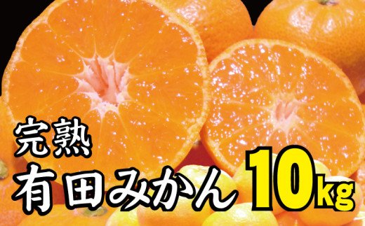 
【2022年冬頃発送予約分】【農家直送】完熟有田みかん 約10kg 有機質肥料100% 　※2022年12月上旬～2023年1月下旬に順次発送予定（お届け日指定不可）
