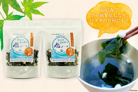 気仙沼 岩井崎の塩 スープ 40g×2袋（約16杯分） 