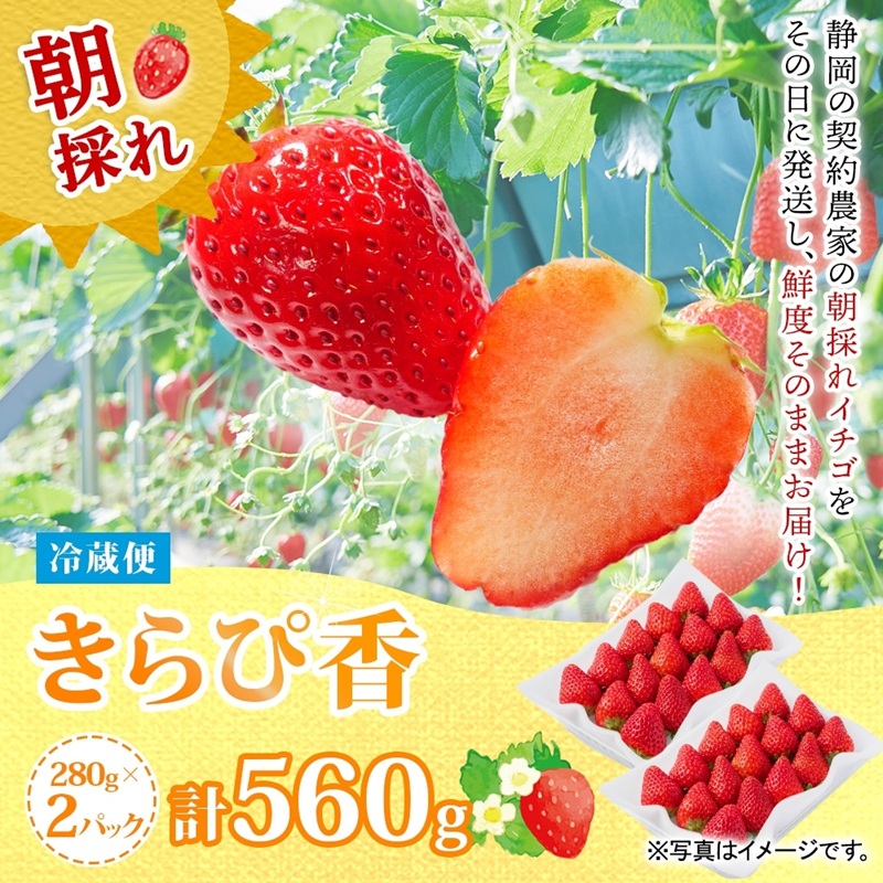 0012-106-05 富士宮市産 いちご きらぴ香 280g×2P 計560g