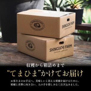 【愛媛人気2品種食べ比べ】せとか + 甘平 各1kg【C70-169】【1713319】