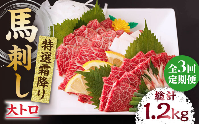 
                  【3回定期便】特選霜降り馬刺し（大トロ）計400g（4pc） 馬刺し 特選霜降り馬刺し 馬肉 桜肉 馬 肉 特選 霜降り 大トロ 便利 小分け 4パック 冷凍 生食 肉食 刺身 九州 熊本県 特産品 山鹿 送料無料【馬刺しの郷 民守】[ZBL045]
                