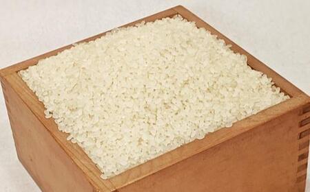 【新米予約】令和７年産「五つ星お米マイスター」の南魚沼産新之助　精米５kg×6回（毎月定期便）【2025年10月下旬より順次発送予定】