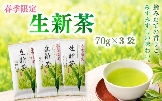 【春季限定】  新茶 生新茶70g×3袋 高級 お中元 父の日 お茶 静岡 新茶 濃旨 緑茶 深蒸し茶 深蒸し 茶 水出し緑茶 水出し 静岡茶  飲料 飲み物 ドリンク 深むし茶 煎茶 セット お茶 茶 深蒸し 煎茶 旬 日常 牧之原産 甘い 簡単 お手軽 茶葉 静岡茶 牧之原茶 プレゼント 贈答 贈答品 贈り物 産地直送 国産 日本 人気 静岡 県 牧之原市 相良物産