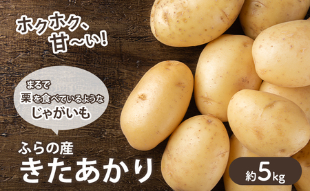 【2026年秋冬発送】甘くてホクホク！ じゃがいも きたあかり 約5kg 野菜 新鮮 いも 芋