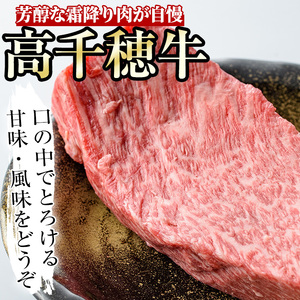 高千穂牛 ウデ・モモブロック(400g)【MT007】【JA高千穂地区ミートセンター】