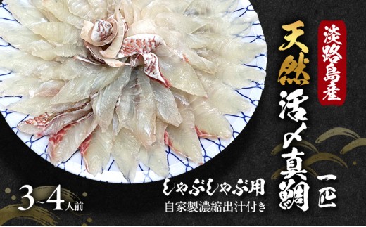 
                  淡路島産 天然 活〆 真鯛 一匹 しゃぶしゃぶ用 3～4人前 自家製濃縮出汁付き しゃぶしゃぶ 魚介 魚介類 海鮮 兵庫県 洲本市 淡路島 [№5395-0297]
                