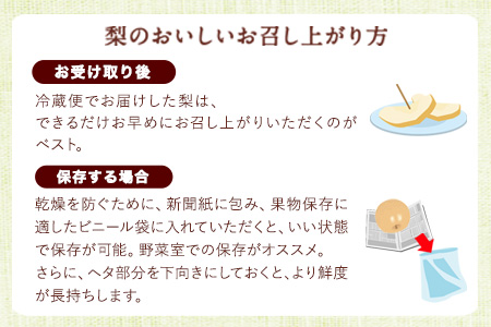 きのみ農園の吉野梨（幸水）3kg 6個～7個 熊本県氷川町産 きのみ農園《7月下旬-8月上旬頃出荷》