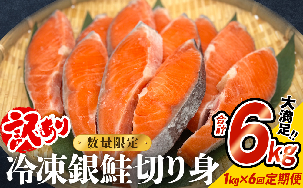 【訳あり】冷凍 銀鮭 切り身 1kg × 6回 定期便 鮭 切り身 銀鮭 冷凍 切身 さけ サケ 鮭切身 シャケ 鮭切り身 訳アリ おかず 鮭切り身 サーモン 塩鮭 鮭切り身 焼き魚 和食 魚 宮城東洋 海鮮 規格外 不揃い宮城県 石巻 石巻市
