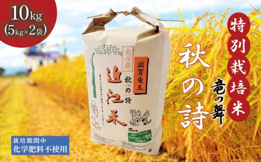 新米 【令和6年10月中旬より順次発送】 秋の詩 白米 10kg （ 5kg × 2袋） 2024年産 竜の舞 化学肥料不使用 特別栽培米 国産 安心 安全 近江米 米 お米 白米 お弁当 玄米 産地直送 滋賀県 竜王町 送料無料