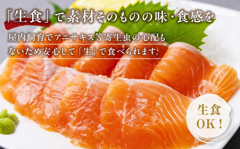 国産 琴浦グランサーモン刺身用　小分け500ｇ（3～5パック） 無投薬養殖で安心