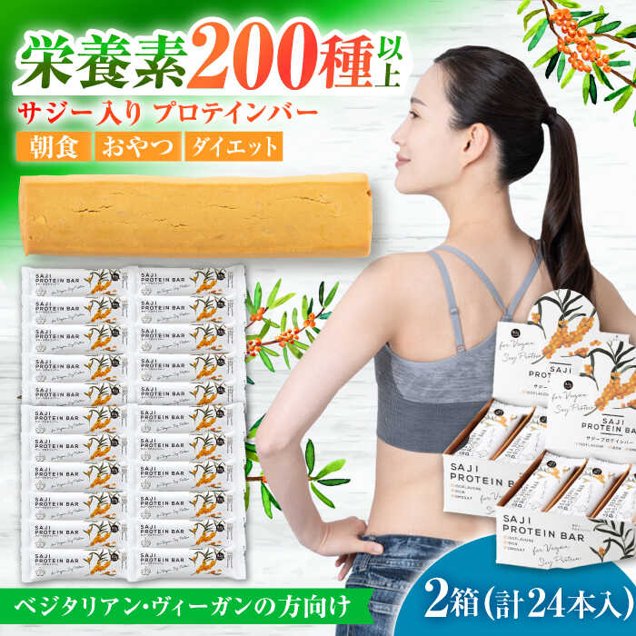 【ふるさと納税】プロテインバー サジープロテインバー 2箱（24本入り）サジーとソイプロテインの低糖質バー 動物性不使用 保存料不使用 毎日の栄養バランス サジープロテインバー 豆 栄養 ダイエット 人気 セット イソフラボン ヘルシー 岐阜市 / 宝島ジャパン[ANDF002]