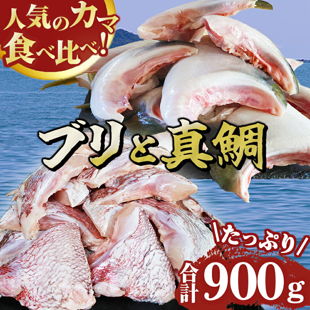 【ふるさと納税】人気のカマ 食べ比べセット ブリカマ 真鯛カマ 切り落とし 合計900g 大容量 小分け パック 国産 希少部位 ブリ ぶり 鰤 頭肉 照り焼き ブリ大根 真鯛 マダイ 鯛 タイ たい 塩焼き 煮付け 鯛めし 人気 大満足 美味しい 魚介 海鮮 BBQ 冷凍 三重県 OB-36