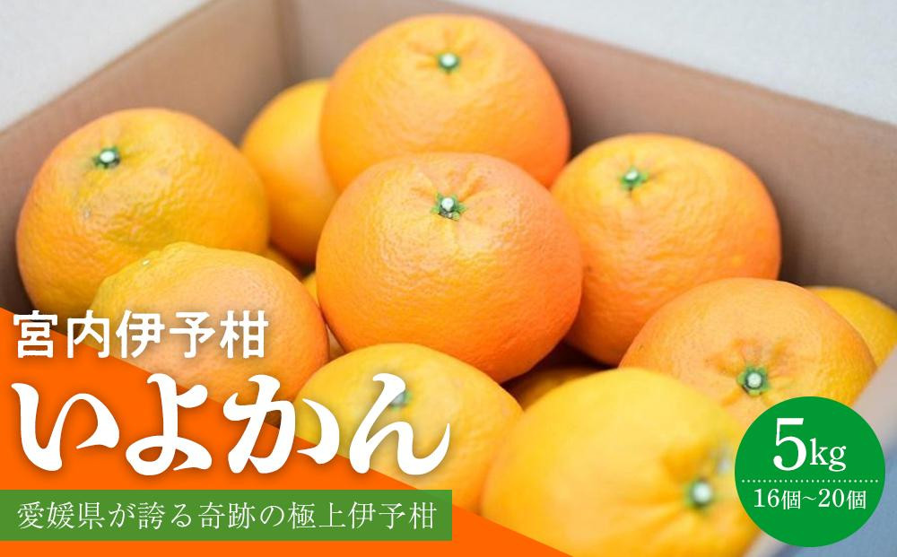 
            【先行予約 2026年1月中旬から発送予定】 いよかん 宮内伊予柑 5kg 2025年度 みかん 5kg みかん 愛媛 みかん 松山 みかん 農家直送 みかん 不揃い いよかん 家庭用 柑橘 愛媛 松山 北条 果物 フルーツ 産地直送 みかん 農園直送 
          