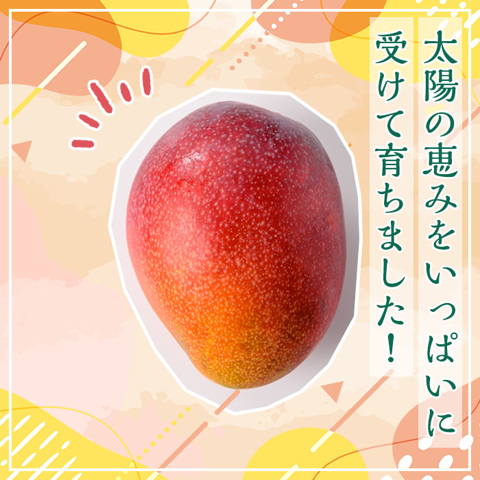 n257 【期間限定】＜先行予約受付中！2025年7月中旬～8月中旬の間に順次発送予定＞鹿児島県種子島産完熟マンゴー(1kg・2～3個入)【種子屋久農業協同組合】