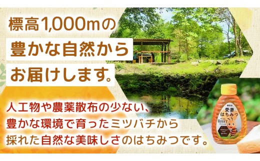 嬬恋村 愛妻はちみつ ( アカシア ) 500g × 2個セット はちみつ 国産 ハチミツ 蜂蜜 群馬 アカシア [AC011tu]