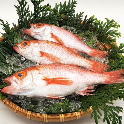 ふるさと納税 新温泉町 山陰沖　お刺身用あぶりノドグロ　2パック　高級魚 アカムツ　生食用 |  | 02