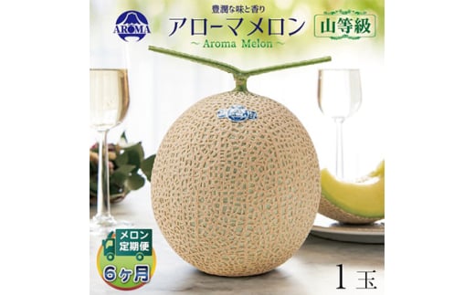 ＜毎月定期便＞アローマメロン(山等級) 1玉 全6回【4012999】