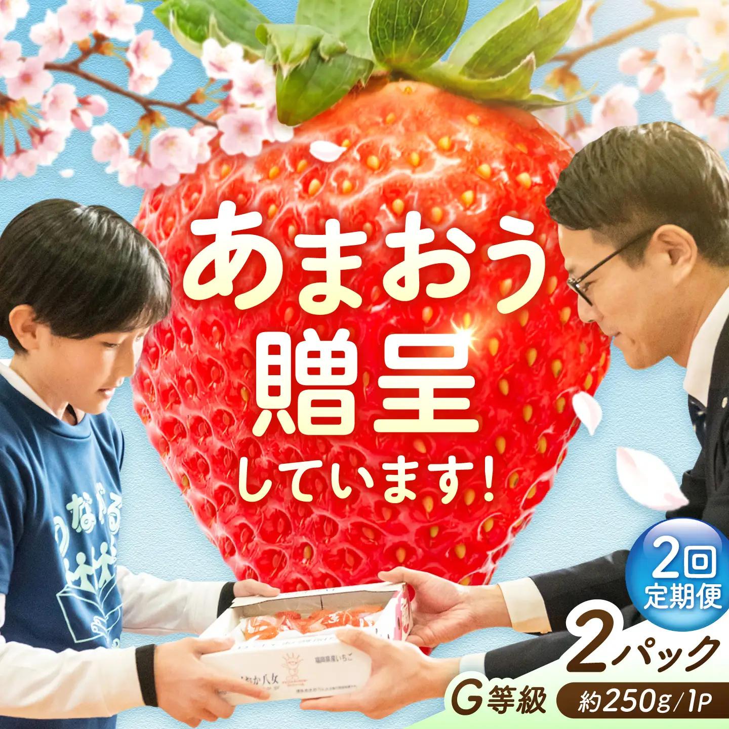 【2回定期便】いちご（あまおう）G等級 1ケース / あまおう[AFAB083]