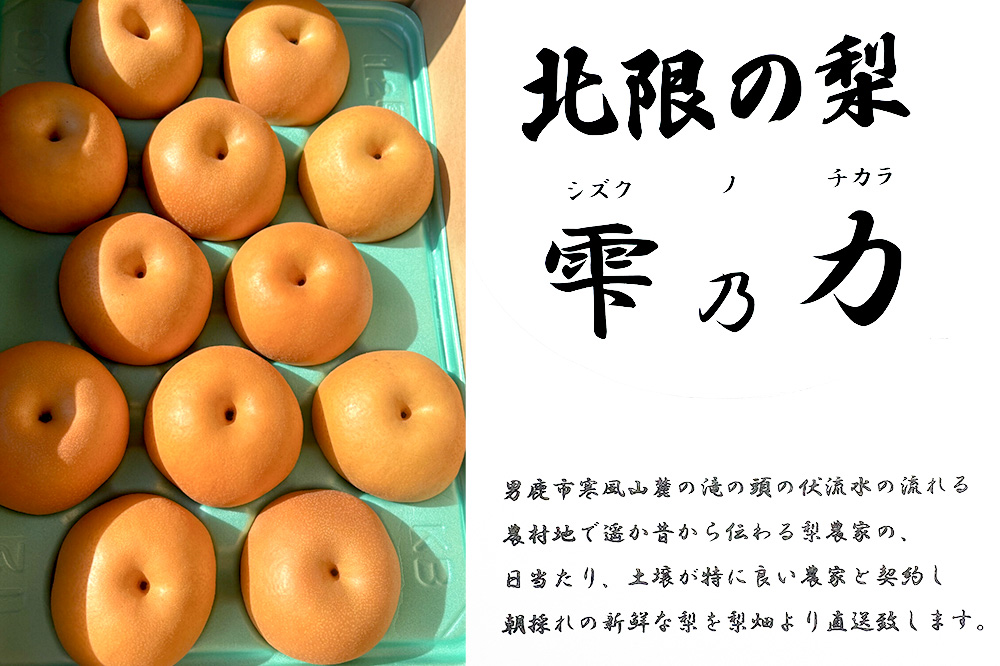 【令和8年度 早期受付】豊水 約10kg 9月中旬～10月上旬発送 梨 旬の果物 ギフト 秋田県 男鹿市 男鹿ファーム直売所