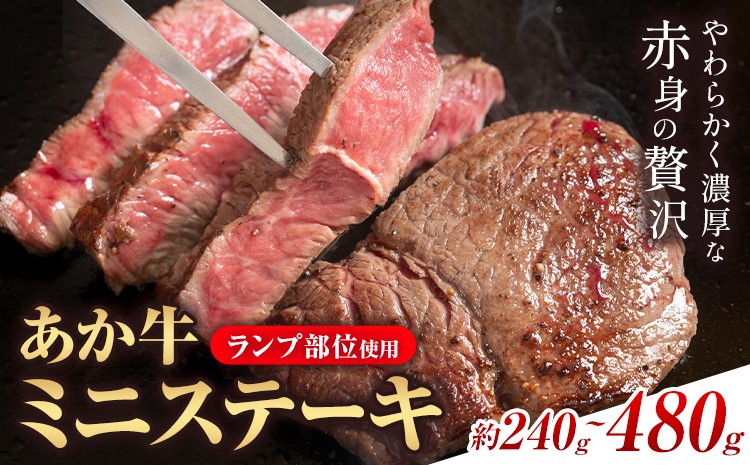 
                  あか牛ミニステーキ ランプ部位使用 選べる内容量 約240g 約480g 合同会社たべたせいか《30日以内に出荷予定(土日祝除く)》熊本県 菊池市 肉 牛肉 お肉 和牛 あか牛 ステーキ ミニステーキ 個包装 小分け 熊本県産 冷凍 送料無料
                