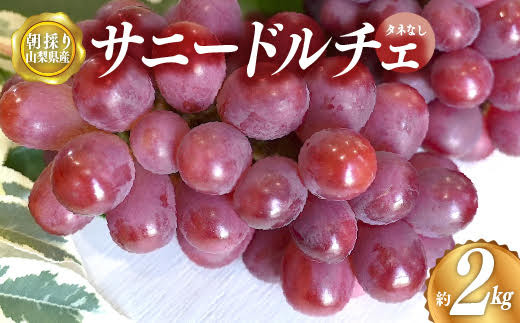 
                  【2026年8月下旬から発送】朝採り！タネなしサニードルチェ 2kg箱 小沢農園 ｜ 人気 新鮮 産地直送 果物 くだもの フルーツ 甘い 糖度 葡萄 ブドウ ぶどう 贈答 ギフト プレゼント おやつ スイーツ トッピング 山梨県 山梨 市川三郷町 市川三郷 [5839-1226]
                