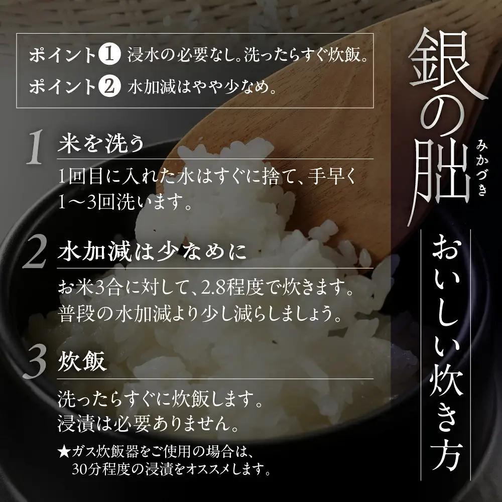 先行予約受付【2026年産米】【2027年6月発送】銀の朏 5kg×1袋 米 ≪テレビで紹介!!幻の米≫【13-12【6】】