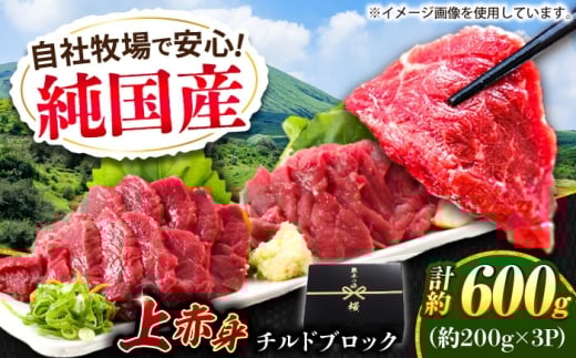 『純国産』熊本の味 上赤身 馬刺し 計約600g（約200g×3パック）ブロック / 熊本 馬刺し ばさし バサシ 馬肉 赤身 国産 ヘルシー チルド 冷蔵 【有限会社 九州食肉産業】 [AYCN034]
