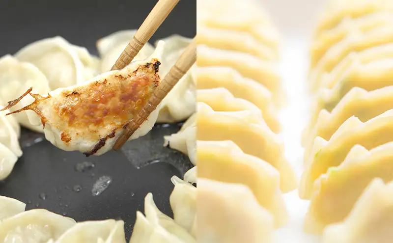 【定期便3回】浜松餃子 126個（21個×6箱）・肉巻き餃子 20個（10個×2箱）【配送不可：離島】 餃子 食べ比べ ぎょうざ 惣菜 冷凍 浜松 