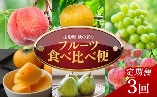 
                  【定期便3回】秋の彩りフルーツ食べ比べ便 FSY-2767
                