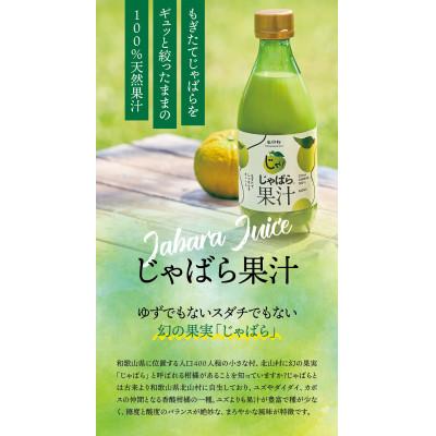 ふるさと納税 北山村 じゃばら果汁360ml×10本【njb211-y10】 |  | 01