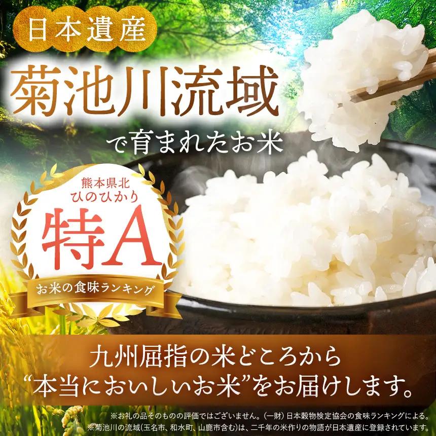 【 新米 予約 】 令和8年産 熊本県産 応援米 白米 30kg こめ 米 訳あり 規格外