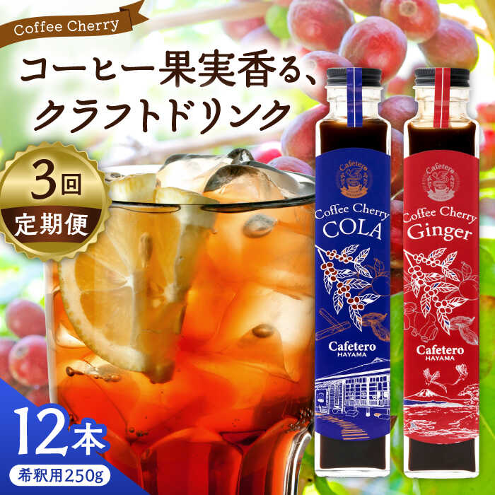 【ふるさと納税】【先行予約】【2025年9月中旬から順次発送】【全3回定期便】カフェテーロ葉山 チェリーコーラ 6本 チェリージンジャー 6本/ ジュース ジンジャー 飲み比べ チェリー 250ml 葉山町【合同会社エンディレクト】[ASBM019]