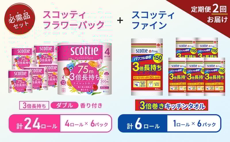
            【6ヶ月ごと計2回お届け】キッチンペーパー 6パック入 スコッティ ファイン 1ロール 3倍 150カット トイレットペーパー ダブル スコッティ3倍長持ち 4ロール×6パック フラワーパック 香り付き 長持ち 防災 災害 日用品 生活用品 生活必需品 [№5704-1759]
          