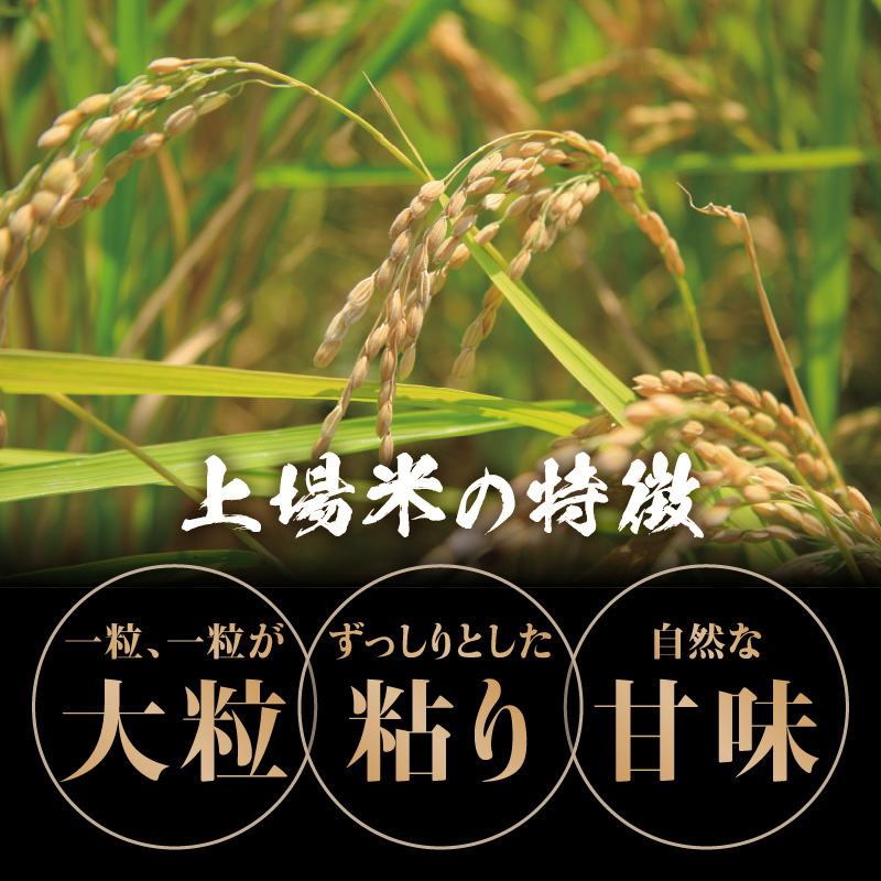 佐賀県玄海町産こしひかり 上場米 6kg ／ コシヒカリ こしひかり 米 お米 精米 白米 ご飯 棚田 上場米 数量限定 佐賀県 玄海町 常温 白米 6kg