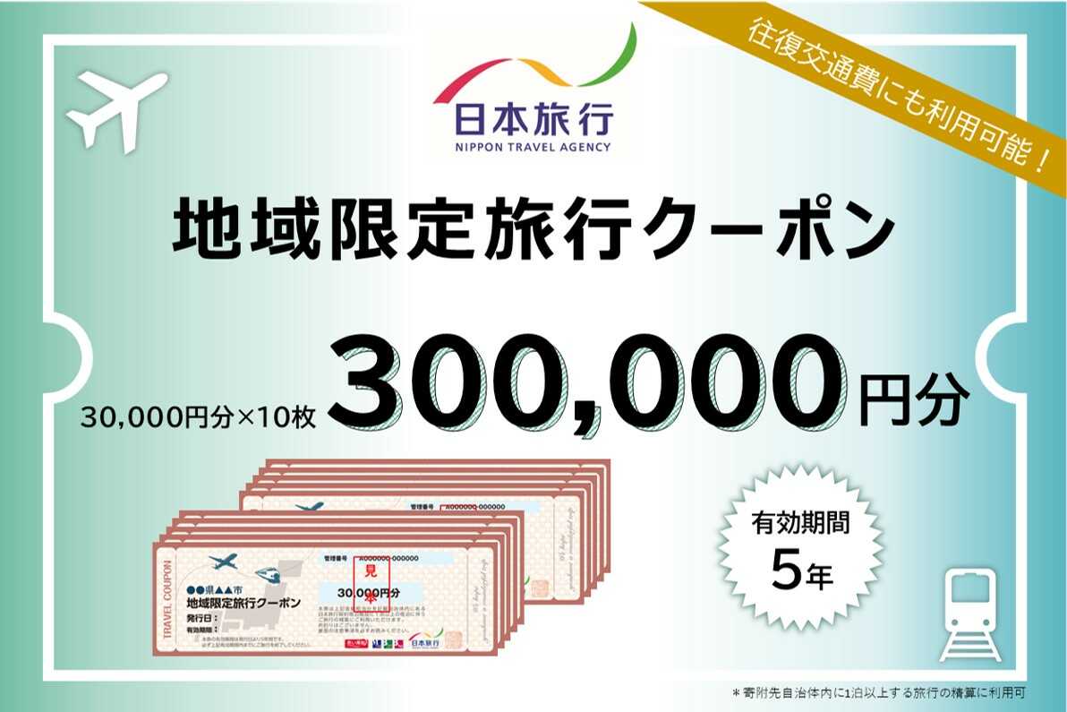 【ふるさと納税】岐阜県多治見市 日本旅行 地域限定旅行クーポン 300,000円分[THE006]