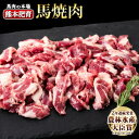 【ふるさと納税】【楽天限定】馬ひも焼肉用300g（50g×6袋） 肉 馬ひも 馬肉 熊本県産山村《90日以内に出荷予定(土日祝除く)》