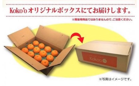 【2027年2月中旬頃から順次発送】  せとか 家庭用(優品) 約3kg | みかん せとか 柑橘 みかん 化粧箱入りみかん 贈答みかん おすすめ 秀品みかん せとか 松山市産せとか 柑橘みかん 愛媛