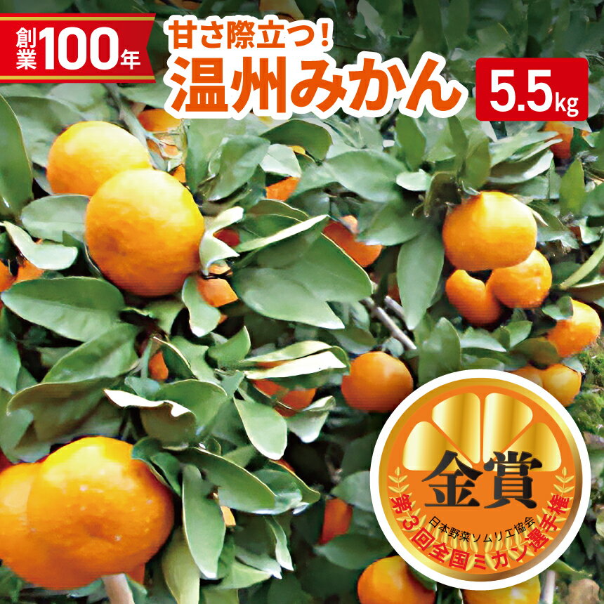 【ふるさと納税】創業100年 甘さ際立つ！熊本温州みかん 約 5kg | 熊本県 熊本 くまもと 和水町 なごみまち なごみ 柑橘 柑橘類 ミカン ミカン みかん 温州ミカン 温州みかん