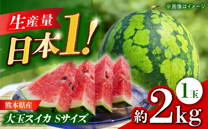 
                  【先行予約】 大玉スイカ Sサイズ 1玉入り 約2kg  すいか 小玉 熊本 フルーツ 野菜 果物 【日本フルーツ株式会社】  1万円以下 10000円以下 [ZFJ038]
                